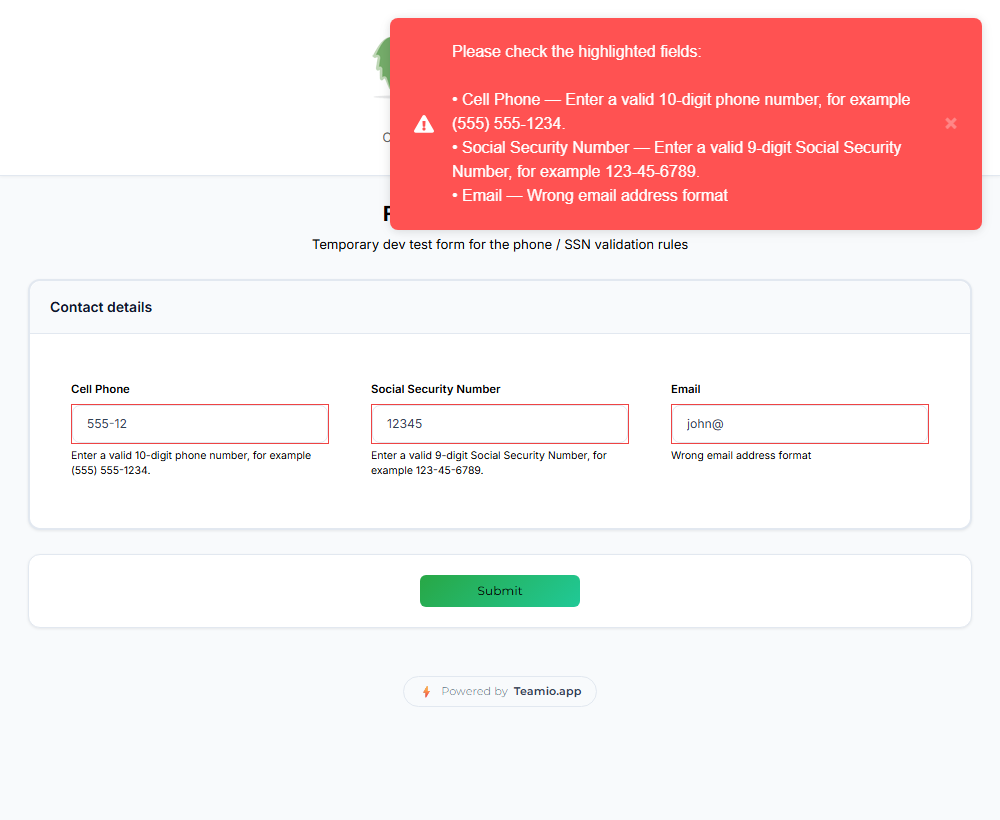 A patient's form with the phone, Social Security Number and email fields outlined in red, each rule's message underneath, and the "Please check the highlighted fields" toast listing all three.