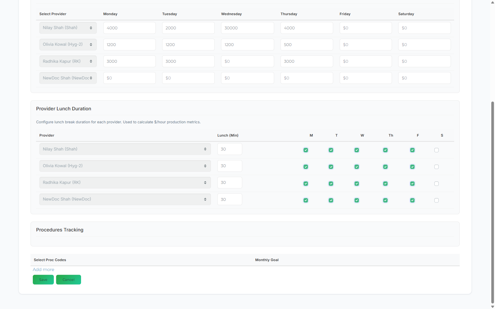 The Provider Lunch Duration table and the empty Procedures Tracking section with its Add more link.